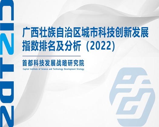 复古操逼黄色视频免费的【成果发布】广西壮族自治区城市科技创新发展指数排名及分析（2022）